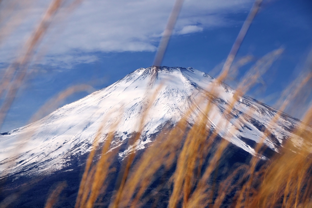 富士山14