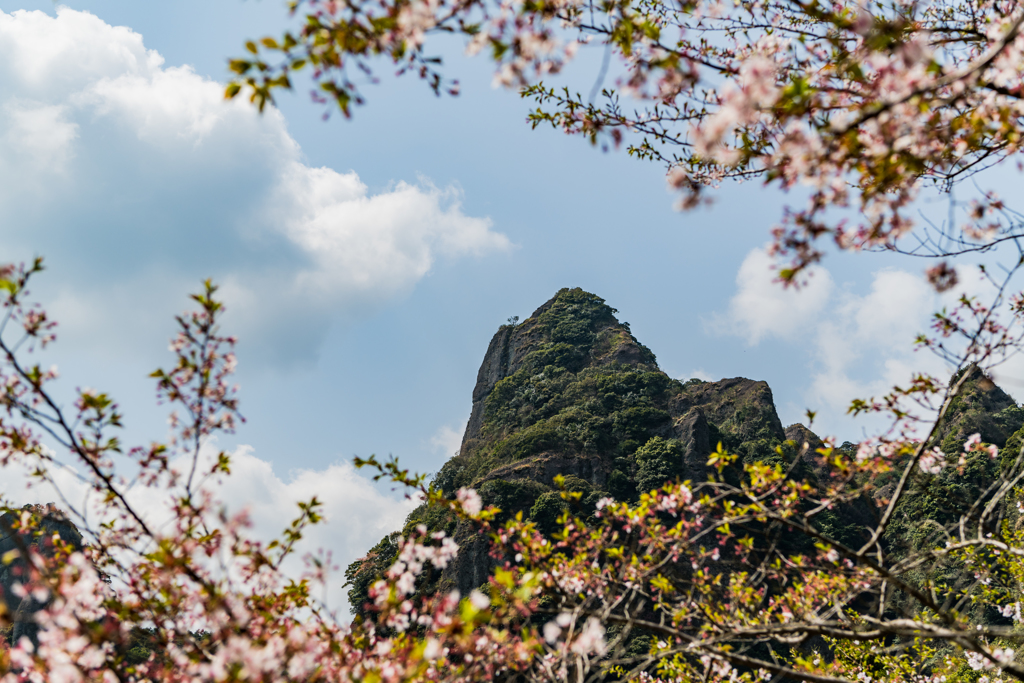 葉桜と雄岩
