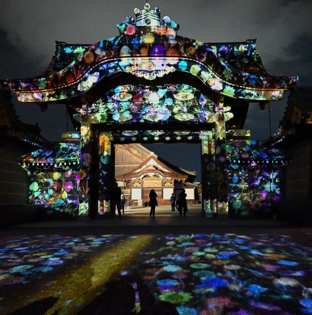 NAKED FLOWERS 2022 秋 世界遺産二条城 by handa dee ID11461106 写真共有サイト