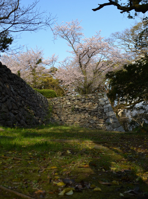 20110409-DSC_0208