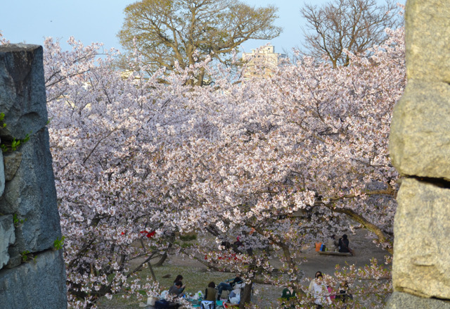 20110409-DSC_0303