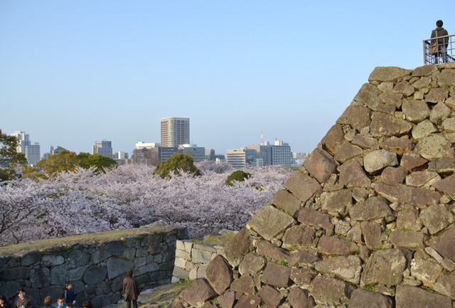 20110409-DSC_0296