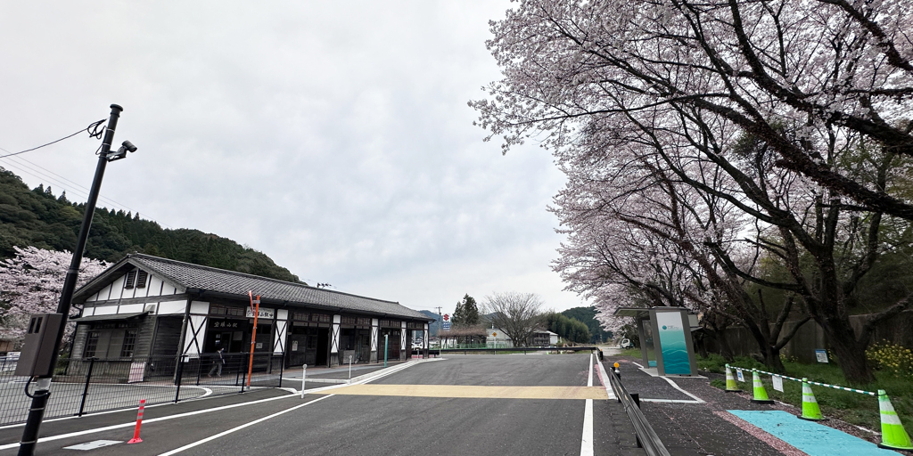 宝珠山駅の桜 (2)
