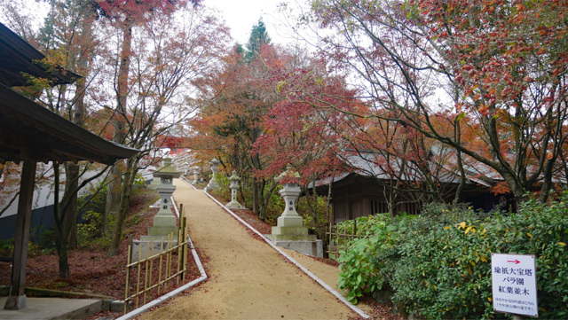 呑山観音寺 (56)