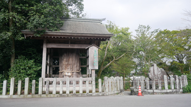 阿蘇神社＠2023 (4) 第一神陵の神杉
