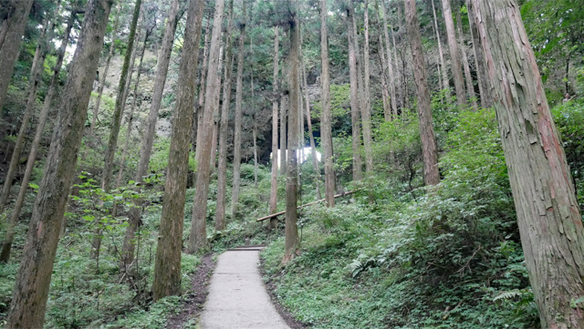 上色見熊野座神社 (31)