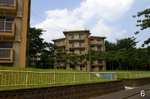 スターハウス スターハウス