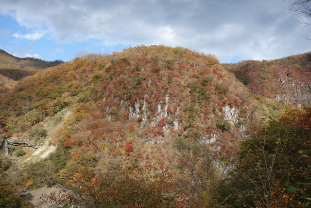 いろは坂の紅葉 ③ by カメラデカルト (ID:12057091) 写真共有サイトPHOTOHITO