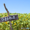 AF 33mm F1.4 XF [tWtCp]ŎBeʐ^