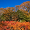 Carl Zeiss Vario-Sonnar T* 28-80mm F3.5-5.6ŎBeʐ^