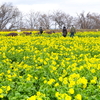 PENTAX 645D {fBŎBeʐ^