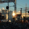 FinePix F11ŎBeʐ^