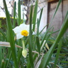 COOLPIX L20ŎBeʐ^