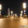 PowerShot A95ŎBeʐ^