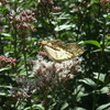 FinePix F200EXRŎBeʐ^
