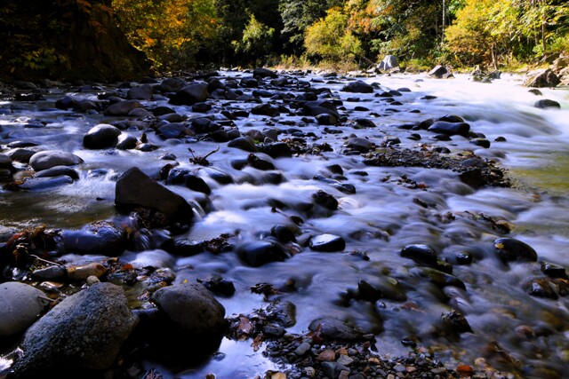 秋、川の流れのように♪ by takbe （ID：12041229） 写真共有サイトPHOTOHITO