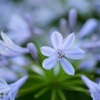 FUJIFILM X-S20 {fBŎBeʐ^
