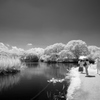 LUMIX DMC-FX70ŎBeʐ^