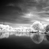 LUMIX DMC-FX70ŎBeʐ^