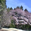 docomo N-01GŎBeʐ^