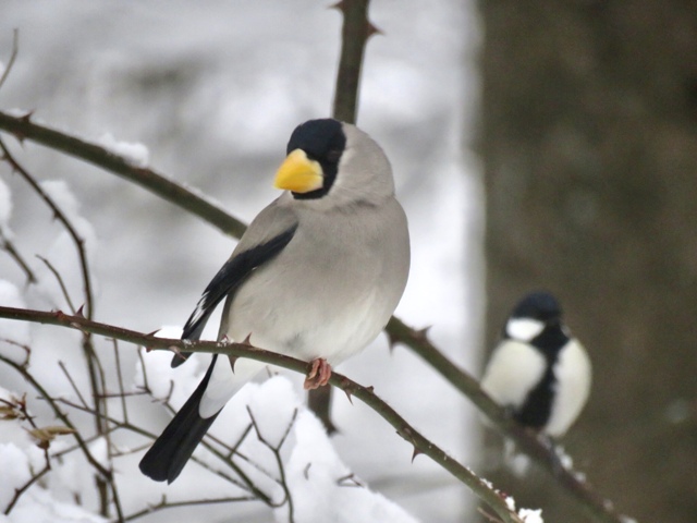 ウエイティング by クーチャン (ID:10919344) 写真共有サイトPHOTOHITO