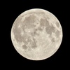 PowerShot SX70 HSŎBeʐ^