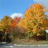 FinePix S304ŎBeʐ^