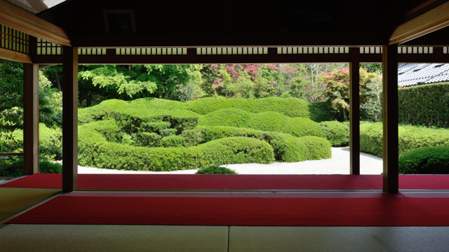 人と写真をつなぐ場所                         hidamari                ファン登録        大池寺１　京都に負けへんで同じタグが設定された hidamariさんの作品最近お気に入り登録したユーザータグ撮影情報EXIFデータ撮影地