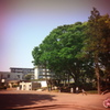 MK-12mm F2.8 MK12F28EFM [LmMp]ŎBeʐ^