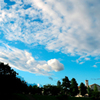 24mm F1.8 EX DG ASPHERICAL MACRO (jRp)ŎBeʐ^
