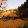 PROMINAR 8.5mm F2.8 MFT [O[]ŎBeʐ^