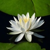 EOS M10 _uYLbgŎBeʐ^