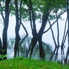  NEX-7 {fBŎBeʐ^