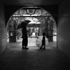 APO-SUMMICRON-M 50 mm f/2 ASPHŎBeʐ^