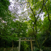 tHNg_[ HELIAR-HYPER WIDE 10mm F5.6 AsphericalŎBeʐ^