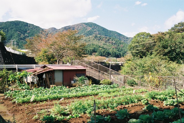 清川村にて by りゃま (ID:8202443) 写真共有サイトPHOTOHITO