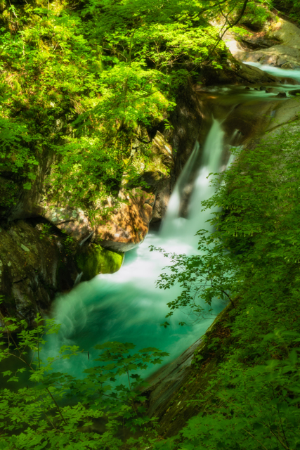 貞泉の滝 by Any （ID：12436874） 写真共有サイトPHOTOHITO