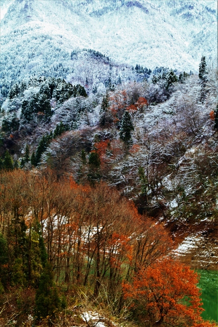 人と写真をつなぐ場所                        ほ　た　る　                ファン登録        　初　雪同じタグが設定されたほ　た　る　さんの作品最近お気に入り登録したユーザータグ撮影情報EXIFデータ撮影地