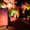 35mm F1.4 Aspherical IF [\j[p]ŎBeʐ^