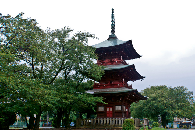 川口・西福寺 by 游々 (ID:10446780) 写真共有サイトPHOTOHITO