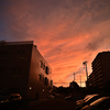Carl Zeiss Biogon T*21mmF2.8ZbgŎBeʐ^