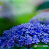 7R ILCE-7R {fBŎBeʐ^