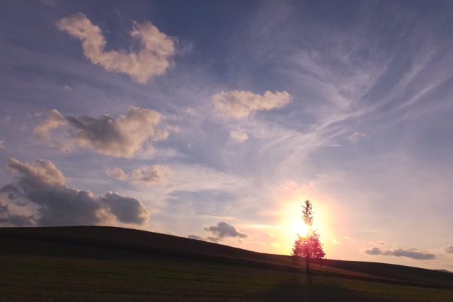 FUJIFILM FinePix F900EXR コンデジ 作例あり FUJIFILM FinePix