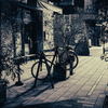 NIKKOR Z DX 16-50mm f/3.5-6.3 VR [Vo[]ŎBeʐ^