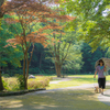 tHNg_[ APO-LANTHAR 50mm F2 AsphericalŎBeʐ^