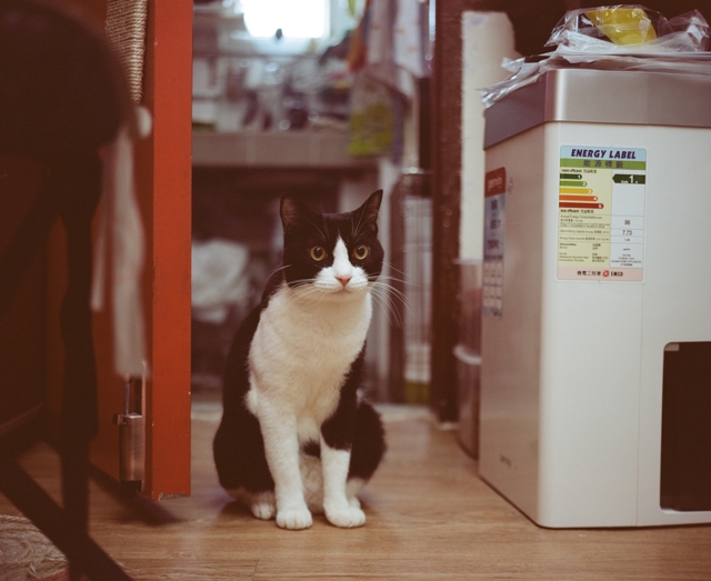 マミヤ Mamiya N 80mm F4L投稿画像・動画 - 価格.com