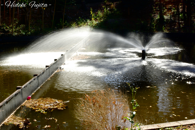 スローな時間 by HIDEKI622 (ID:12147986) 写真共有サイトPHOTOHITO