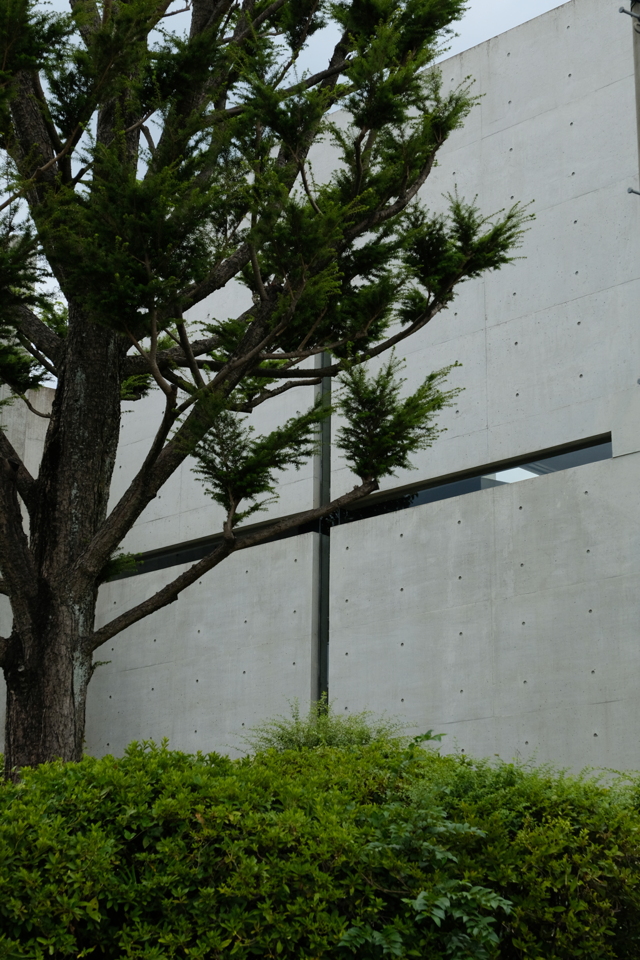 光の教会（茨木春日丘教会） by Boboo （ID：11964592） 写真共有サイトPHOTOHITO