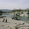 QV-2000UXŎBeʐ^