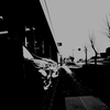 OLYMPUS VG-145ŎBeʐ^